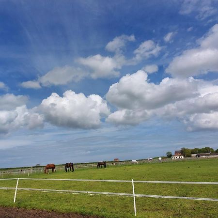 Отель Braemar Equestrian, East Riding Of Yorkshire Burton Pidsea Экстерьер фото