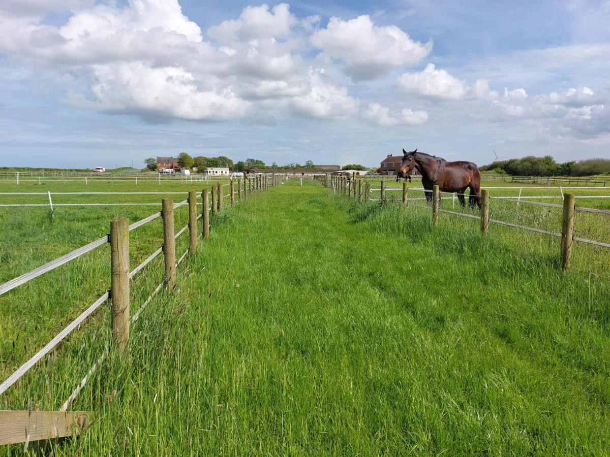 Отель Braemar Equestrian, East Riding Of Yorkshire Burton Pidsea Экстерьер фото