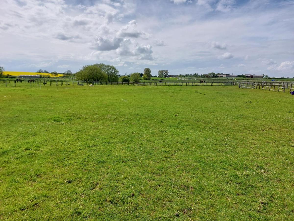 Отель Braemar Equestrian, East Riding Of Yorkshire Burton Pidsea Экстерьер фото